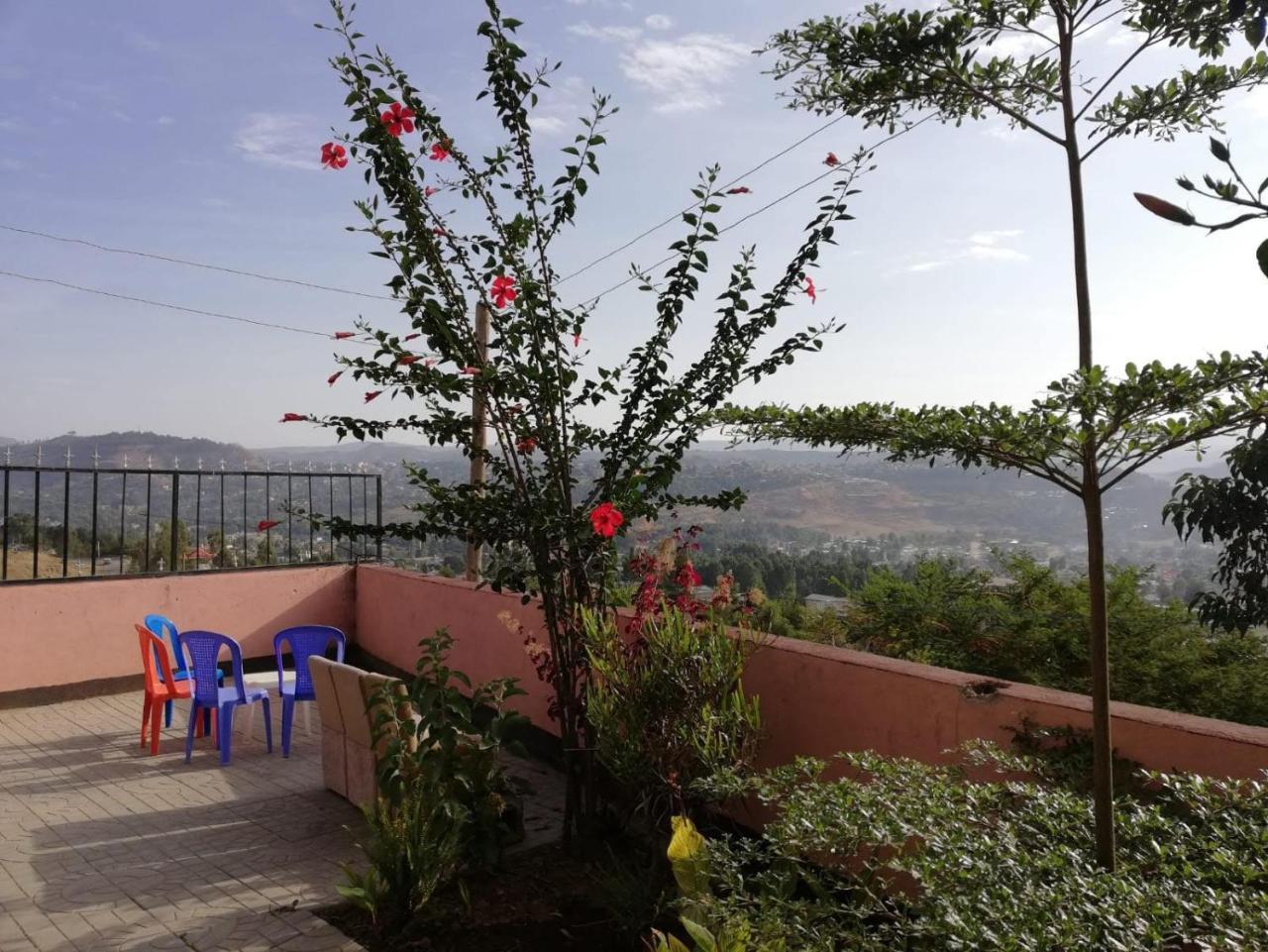 Gondar Backpackers Hostel Luaran gambar